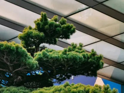 Casino Win Paradise Aip Soghluaiste